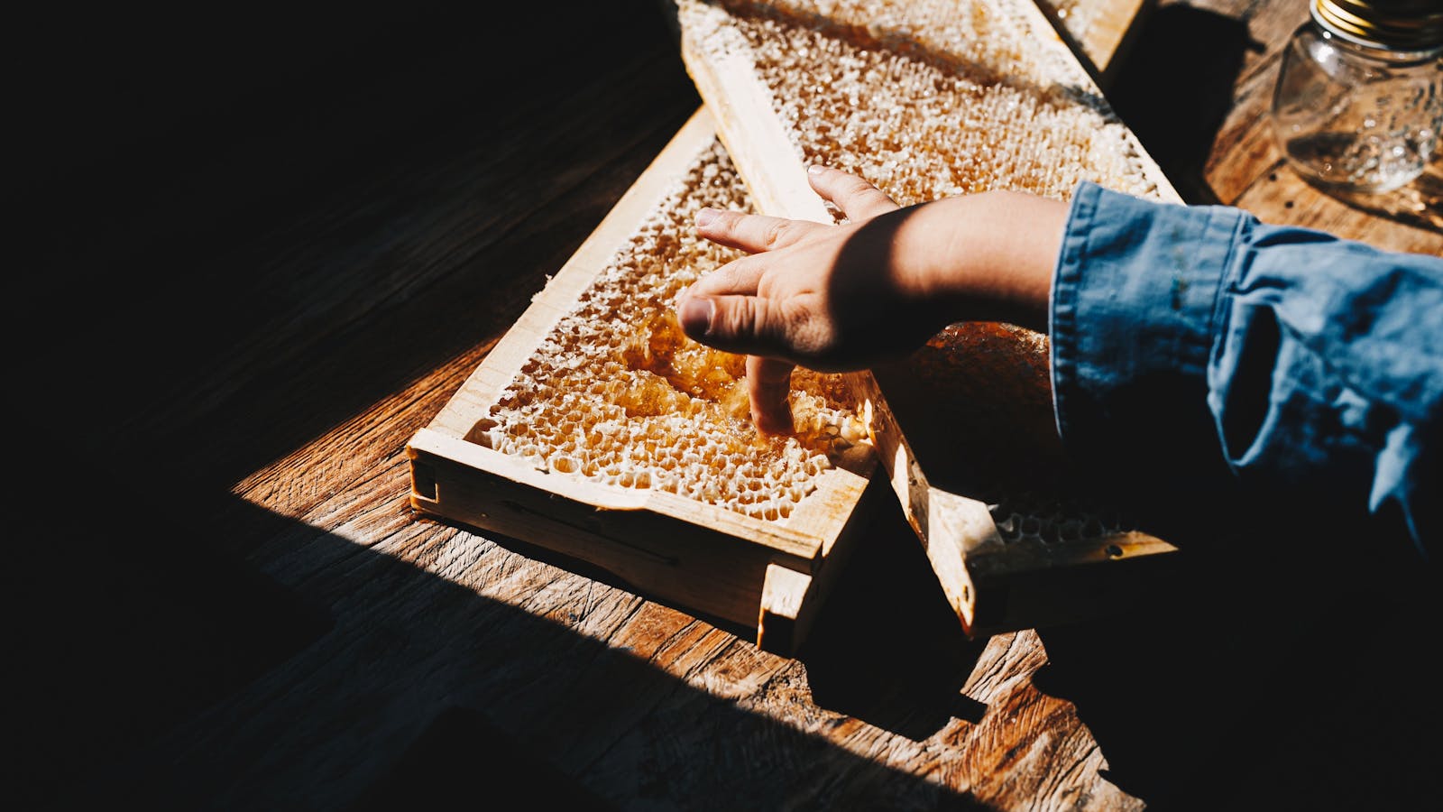 Honey fresh from hives - Cressy House