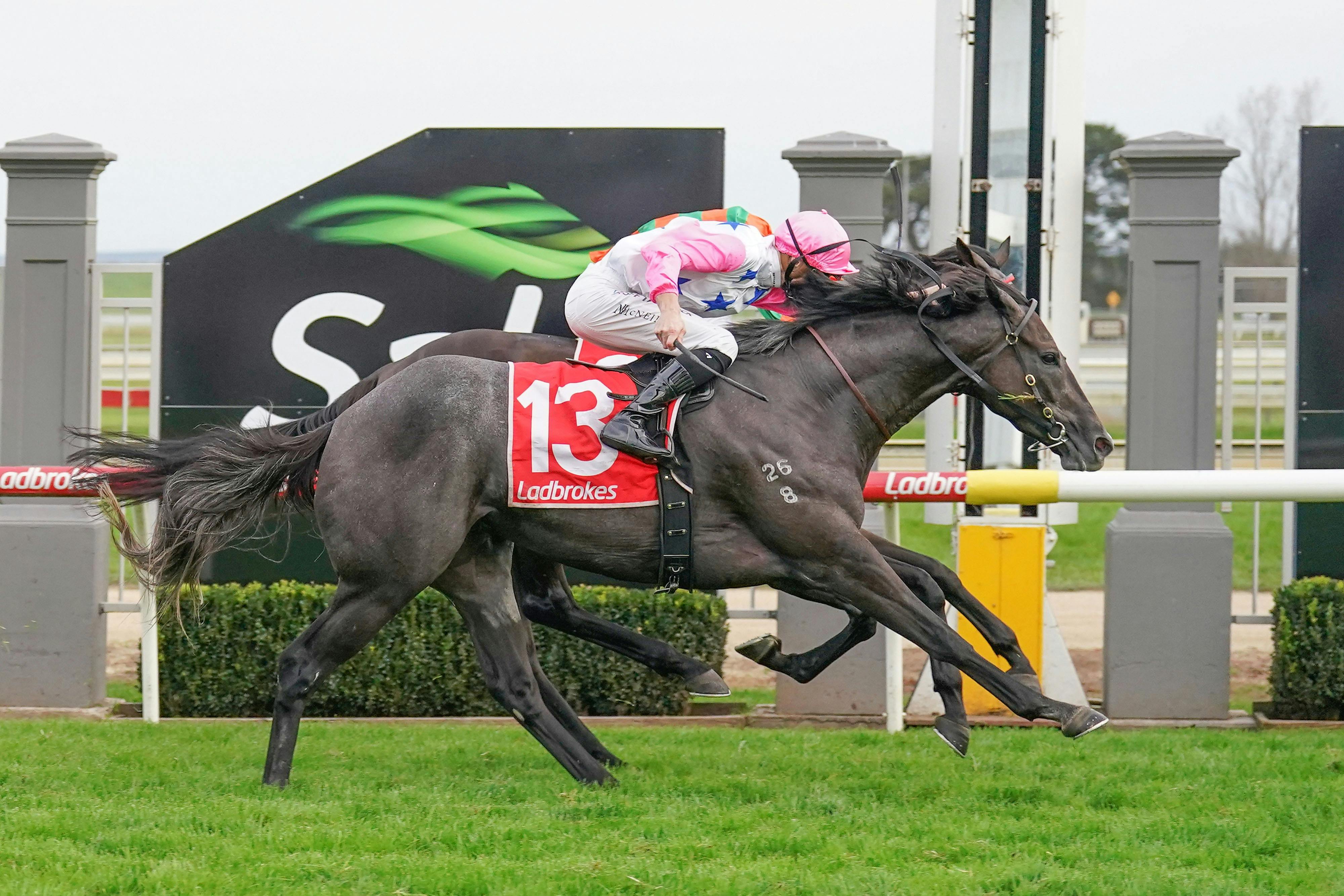 Sale Turf Club