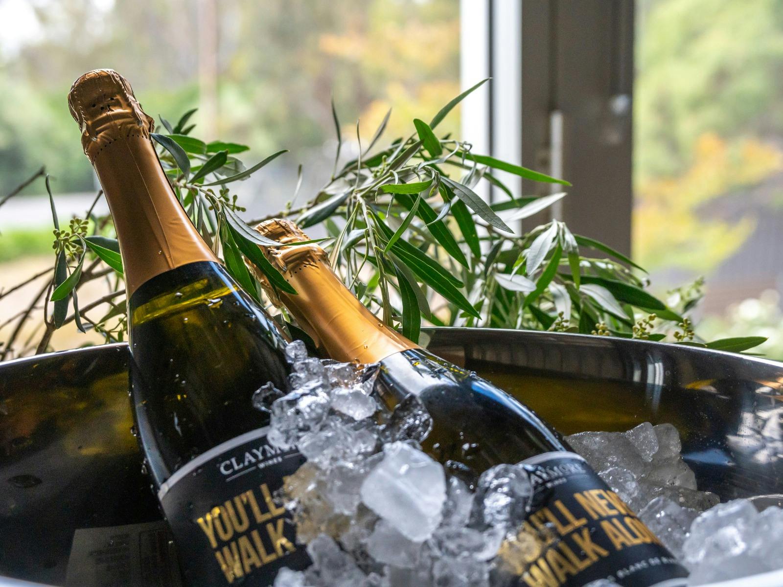 bubbles on ice