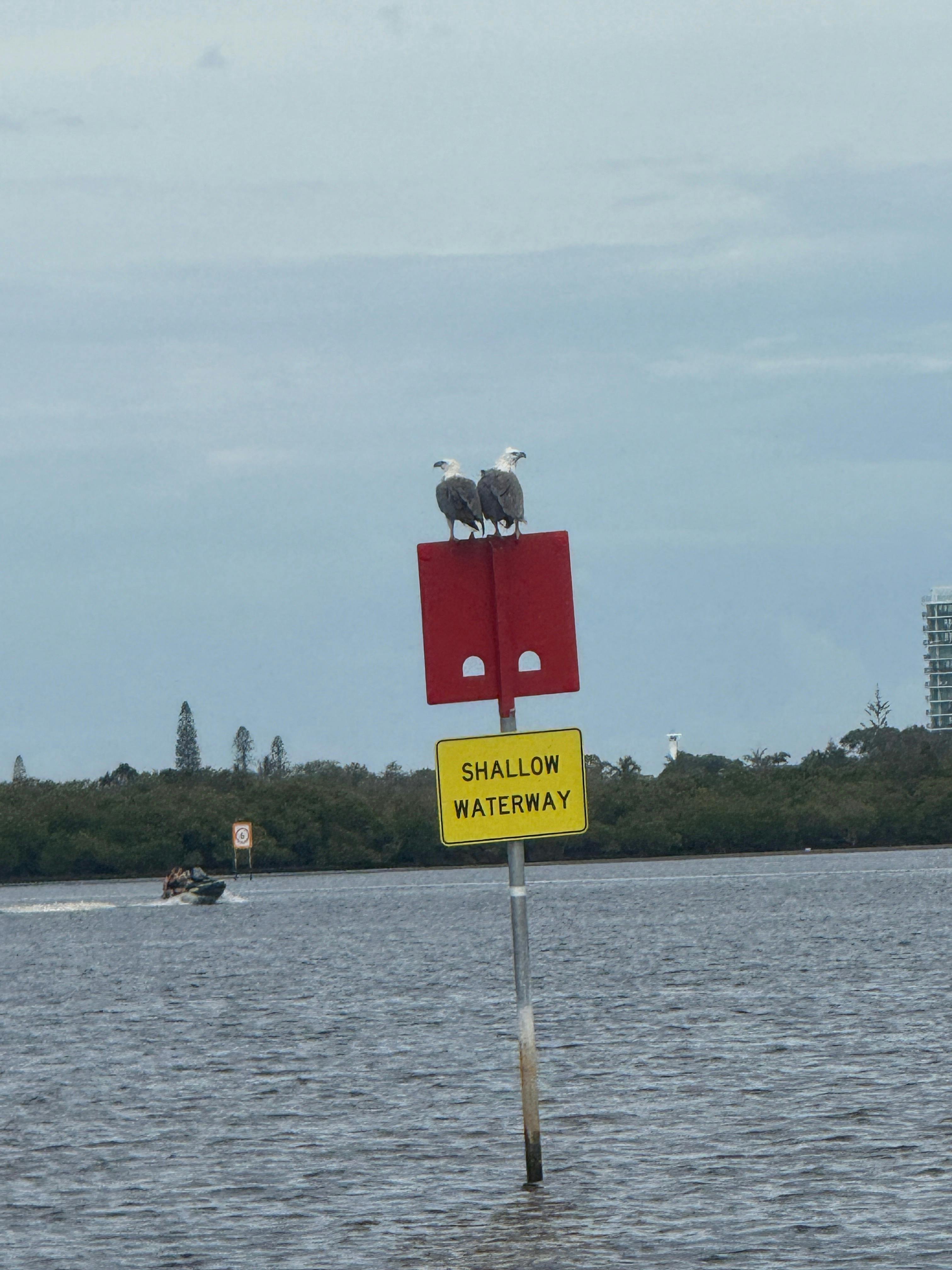 Near Chambers Island