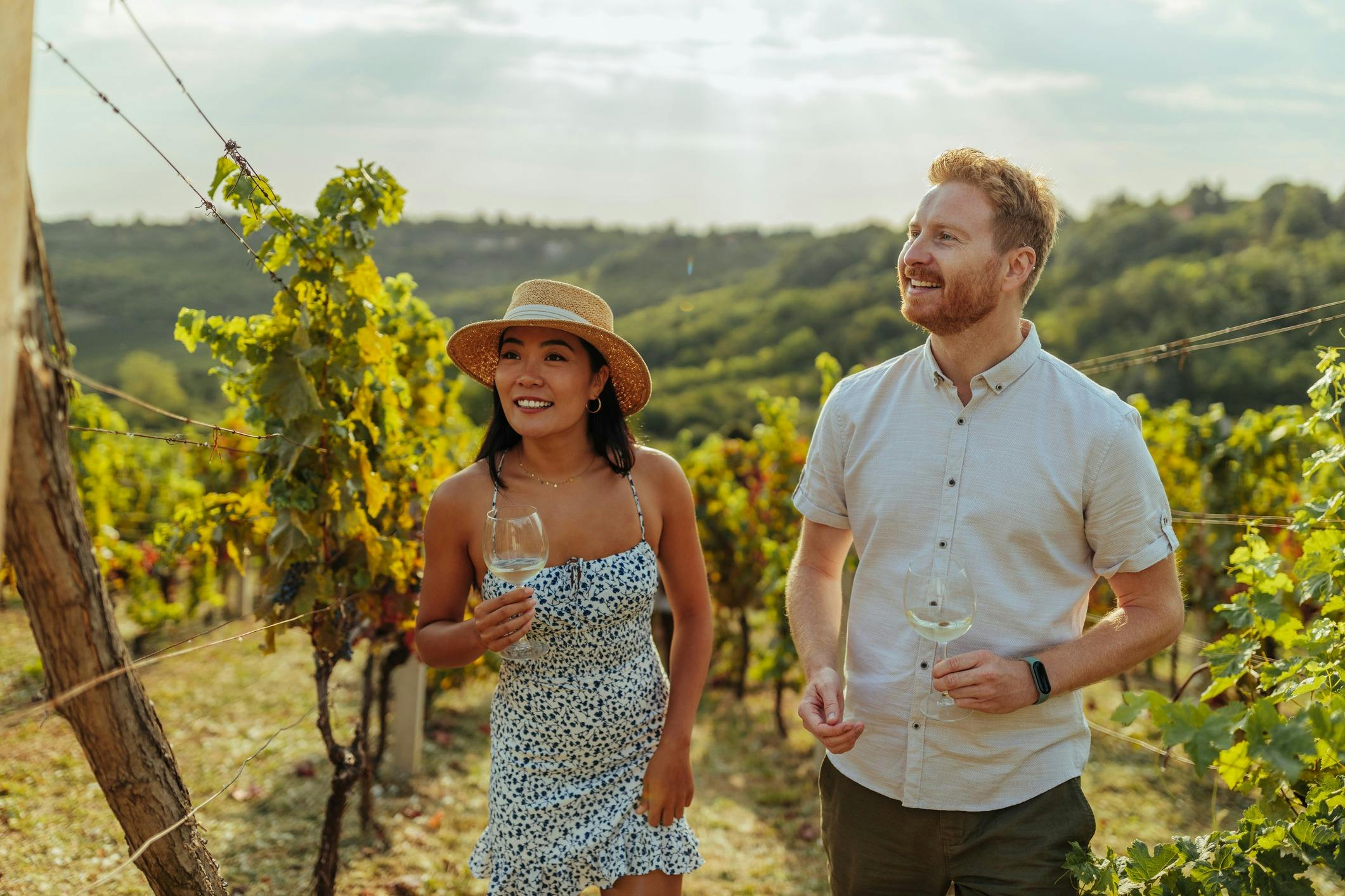 Private wine tour