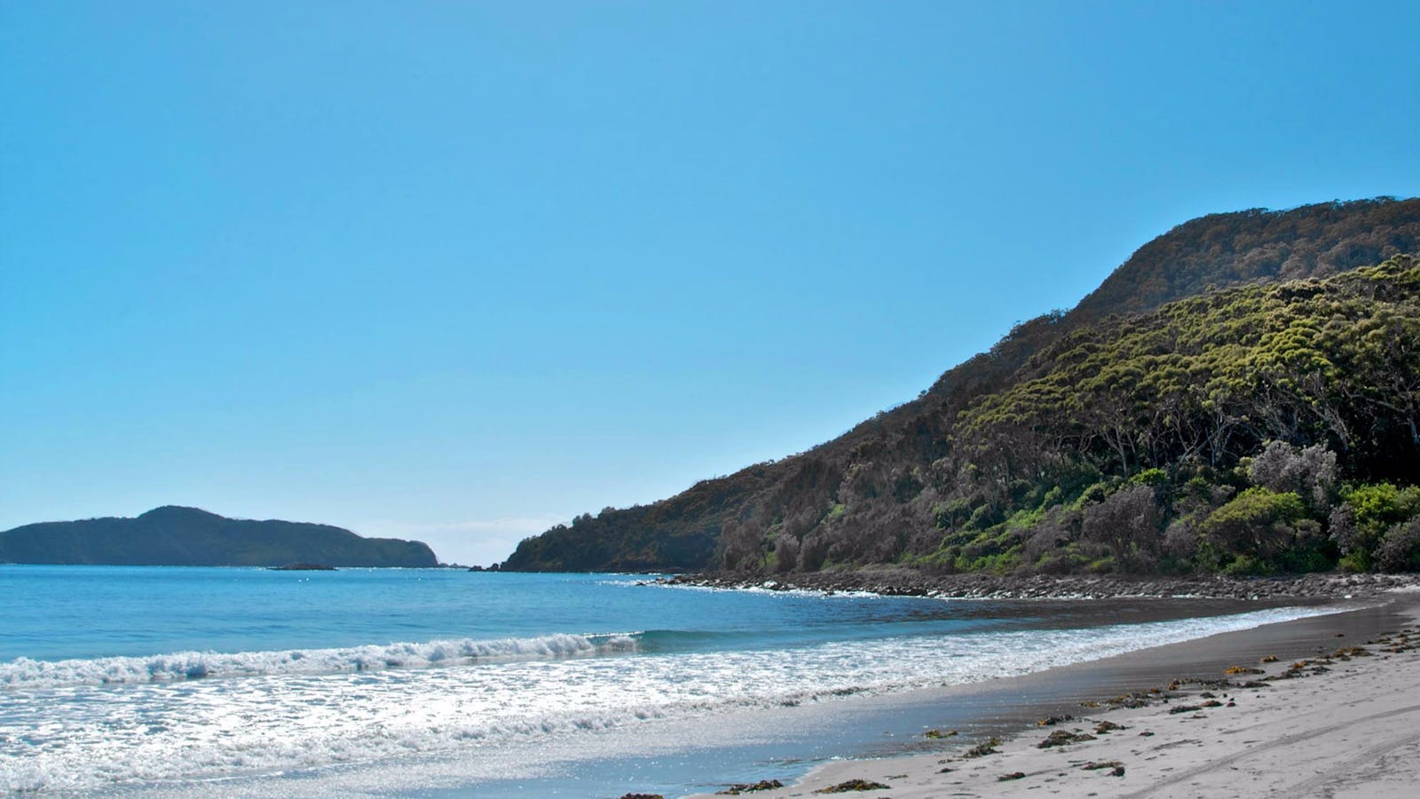 Yacaaba Headland Walking Track