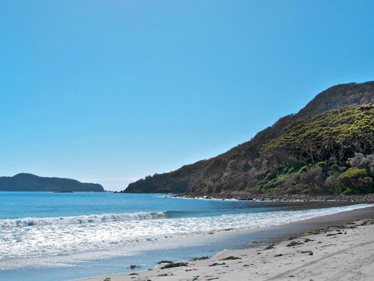 Yacaaba Headland walking track beach, Myall Lakes National Park. Photo: John Spencer