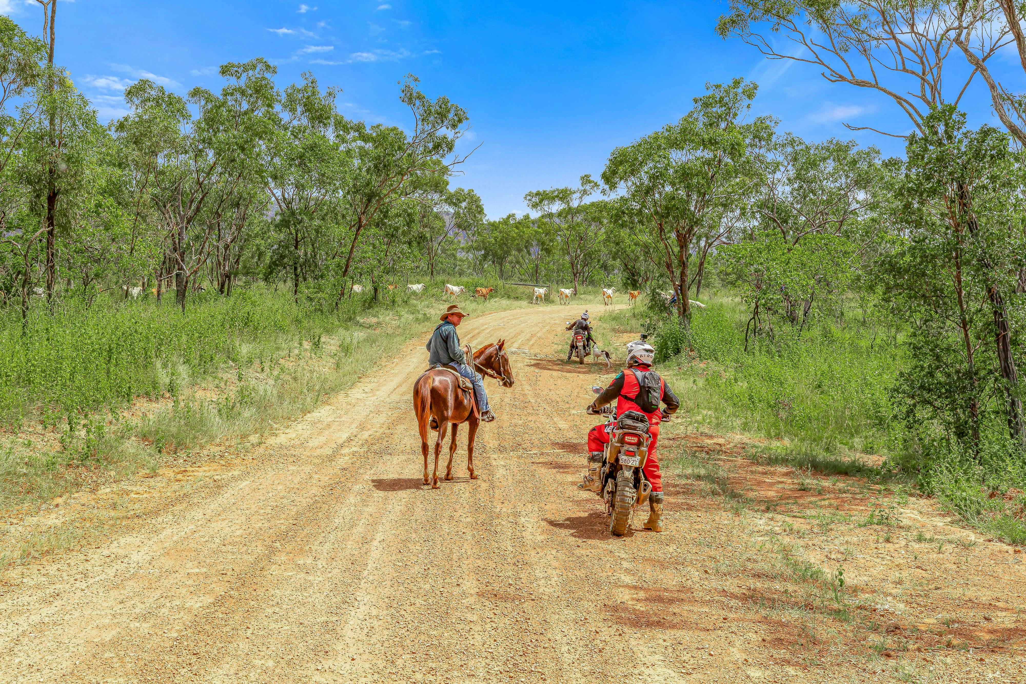 Best of the West 4 Day Tours