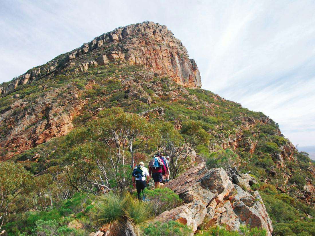 Finders Ranges Adventure Rides Family Heysen Trail and the Flinders Ranges Adventure, Tour Servi...