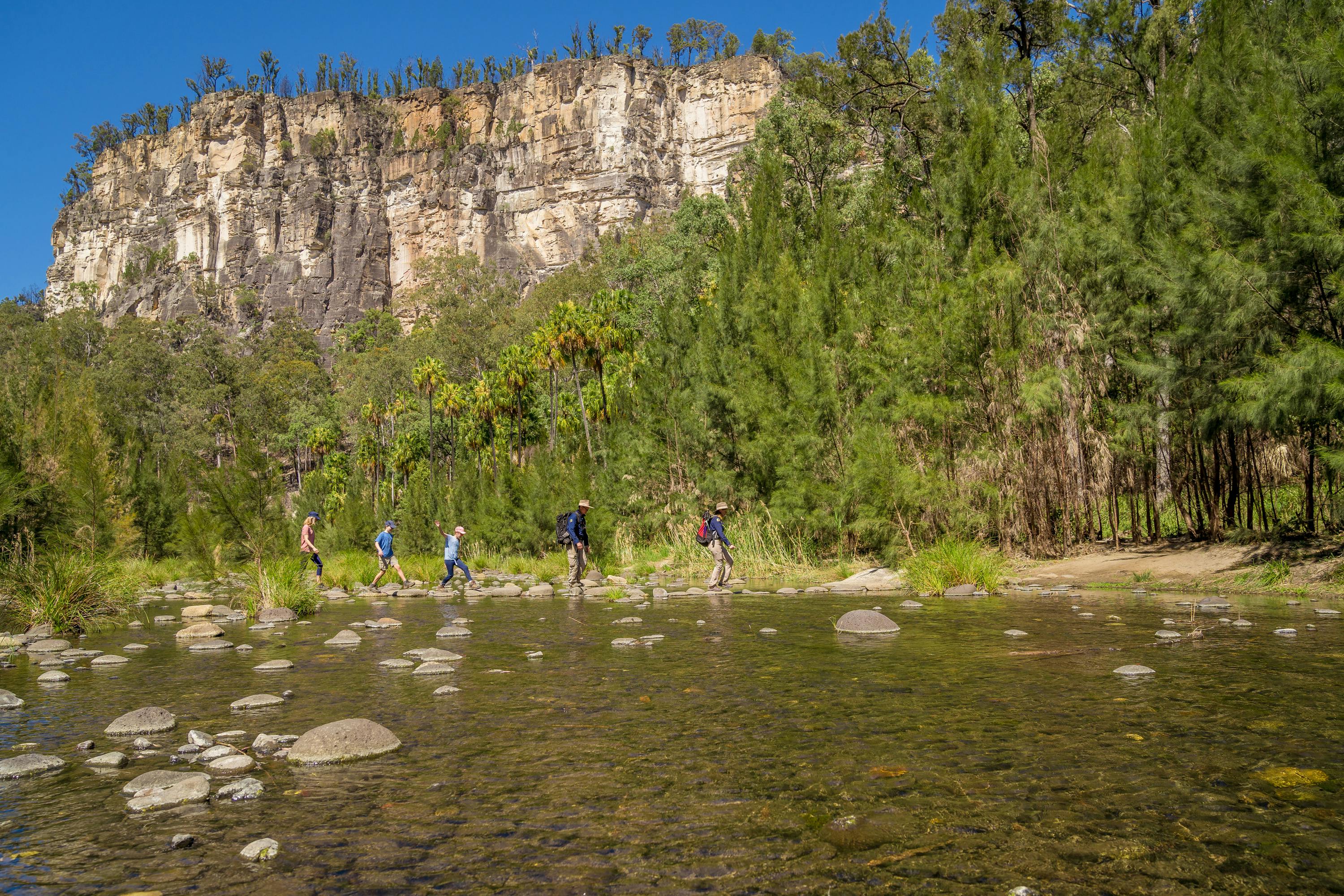 A tour group uses stepping stones to cross the creek at Carnarvon Gorge.