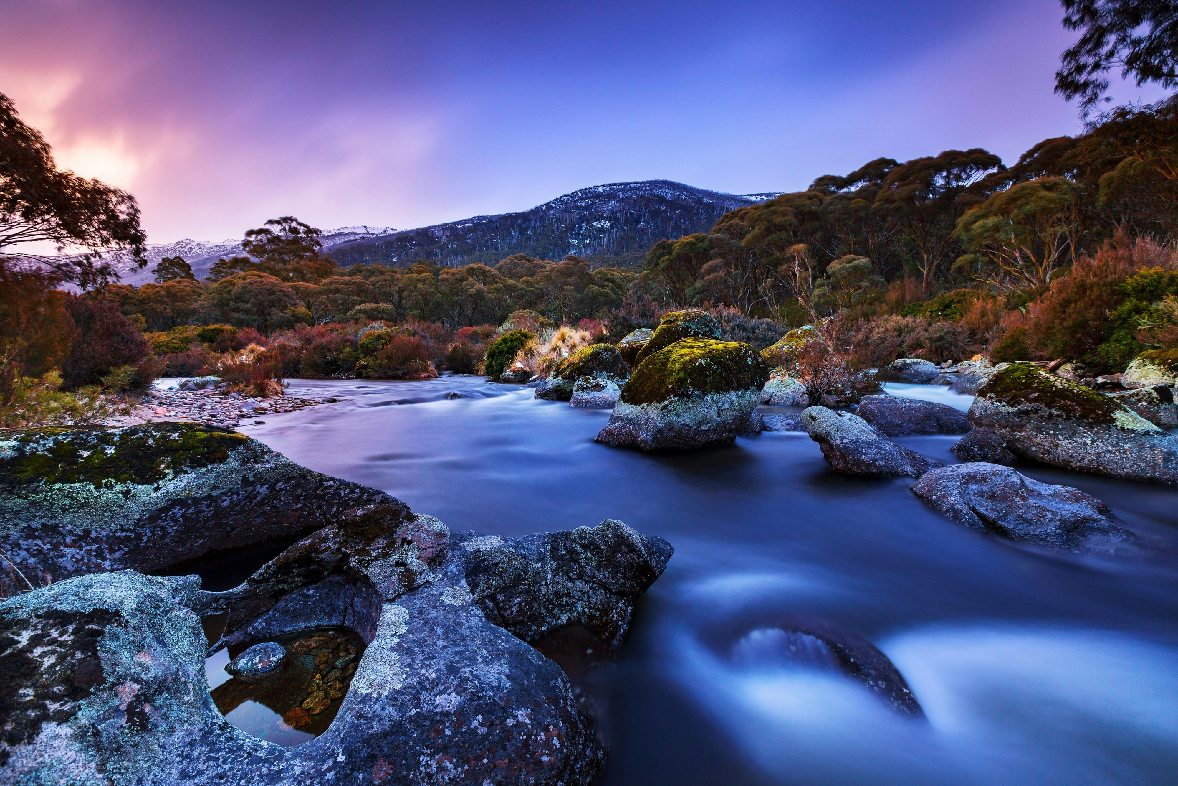 Guided Nature Walk | NSW Holidays & Accommodation, Things to Do ...