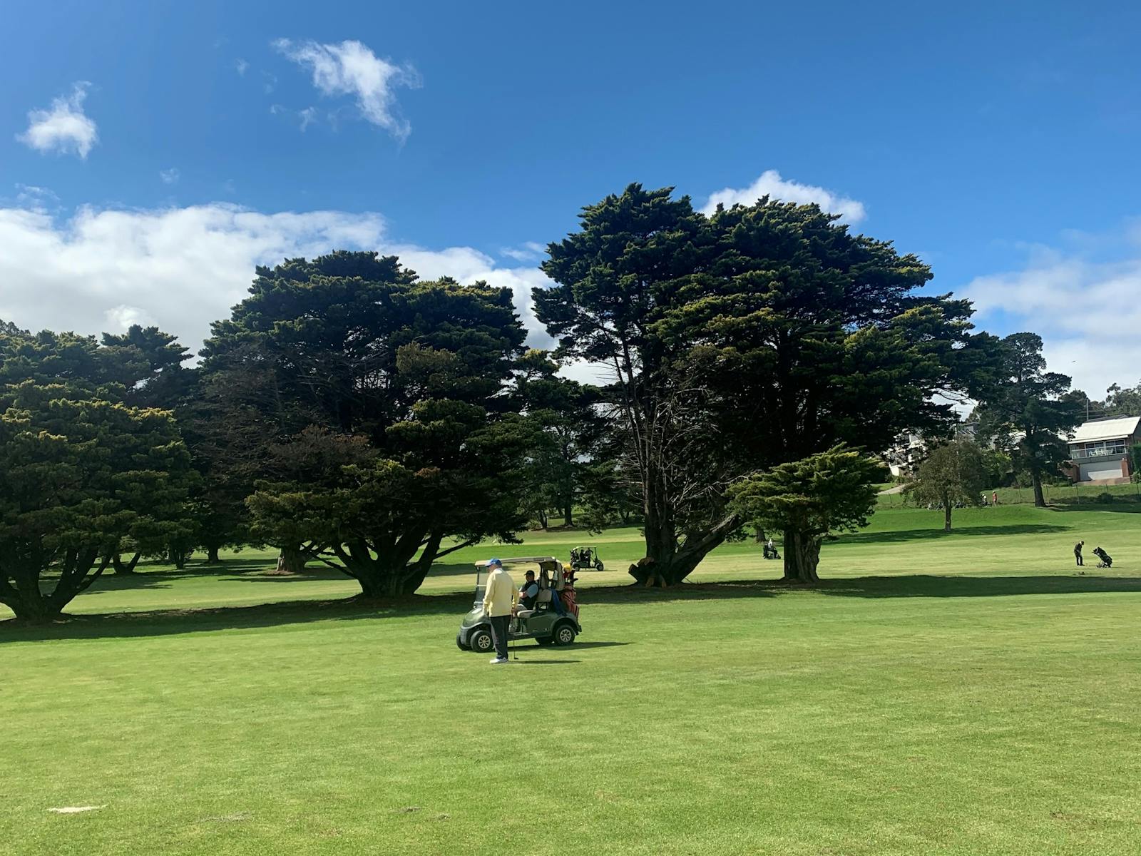 Photo of  agolfer driving a cart down the fairway