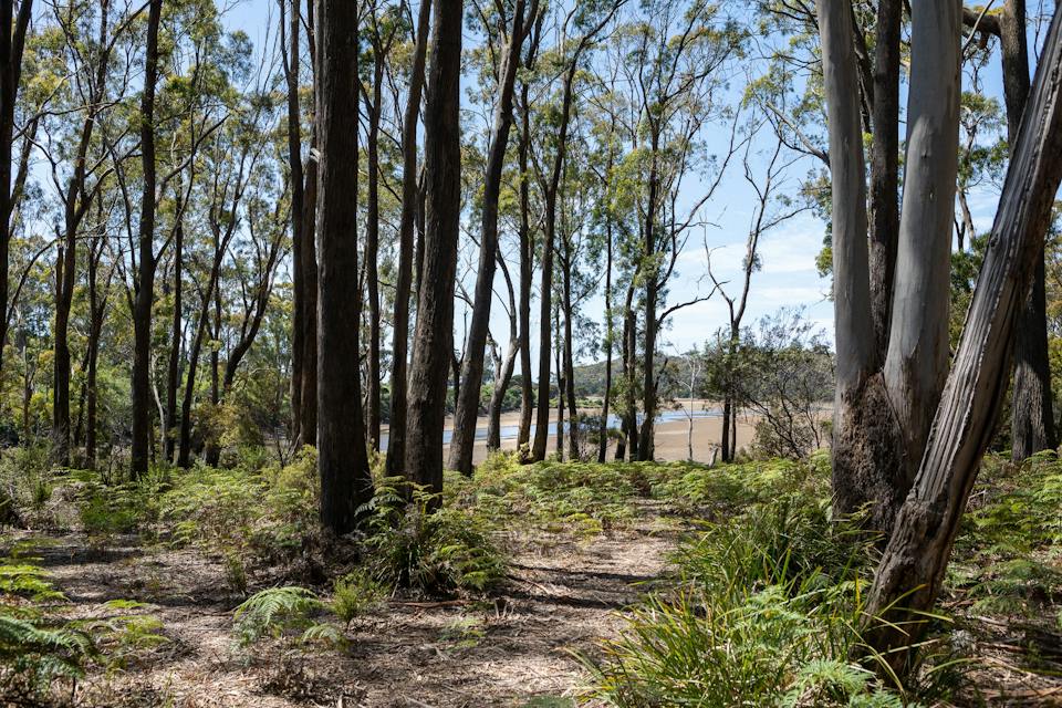 Don Reserve photo