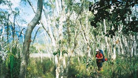 Thorsborne Trail, Hinchinbrook Island National Park