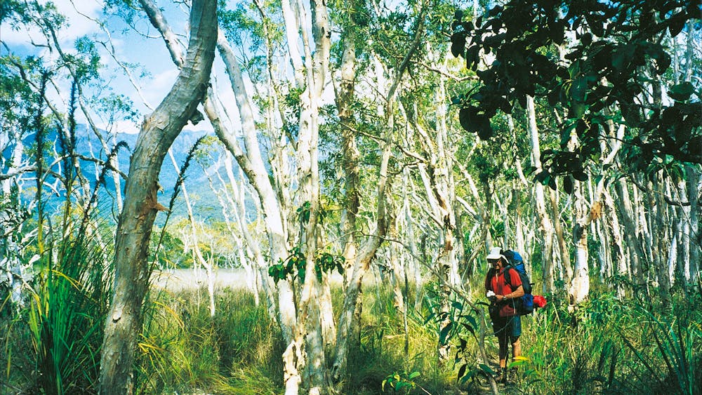 Thorsborne Trail, Hinchinbrook Island National Park