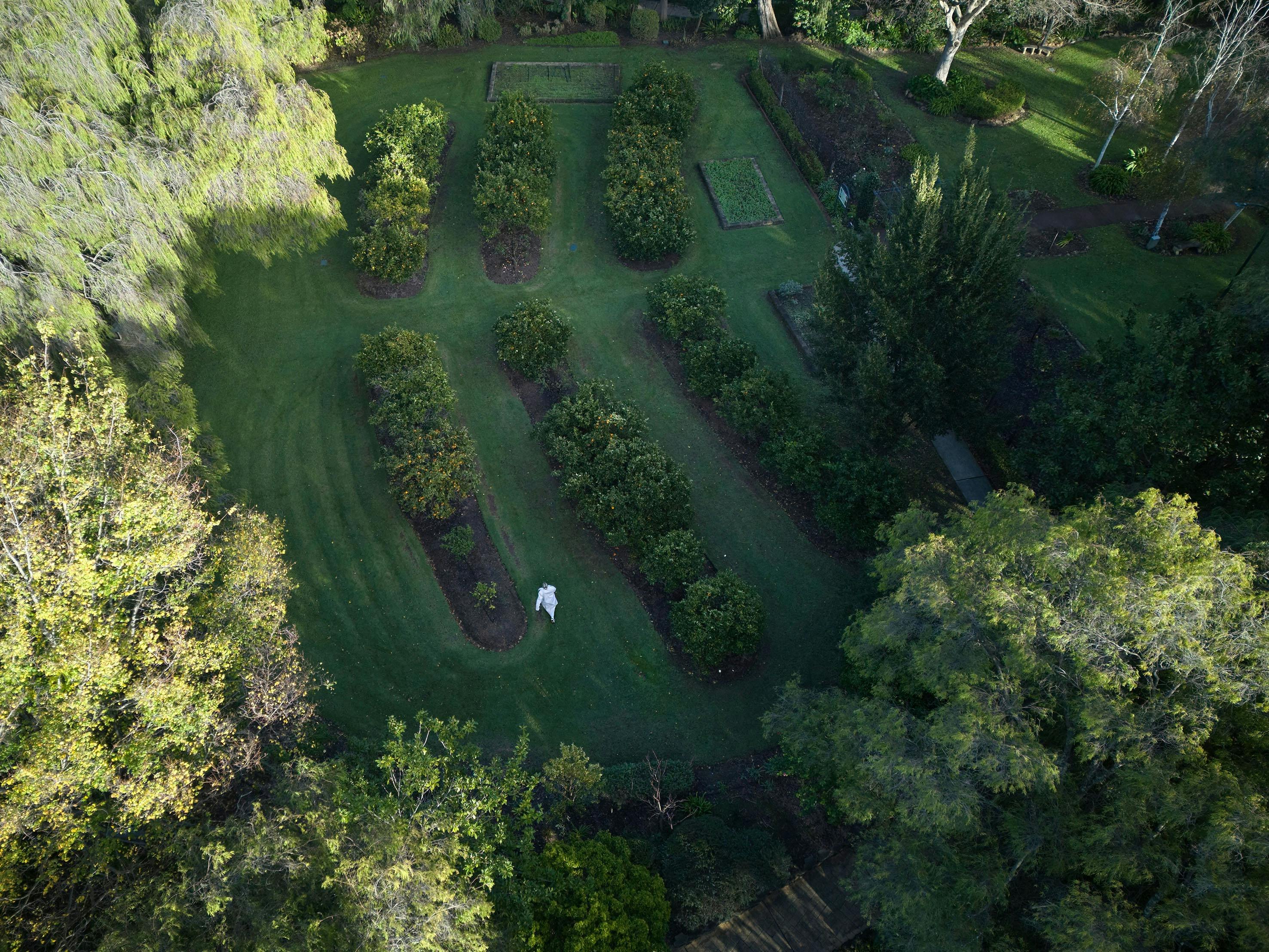 Aerial of Stirling Cottage Gardens in winter