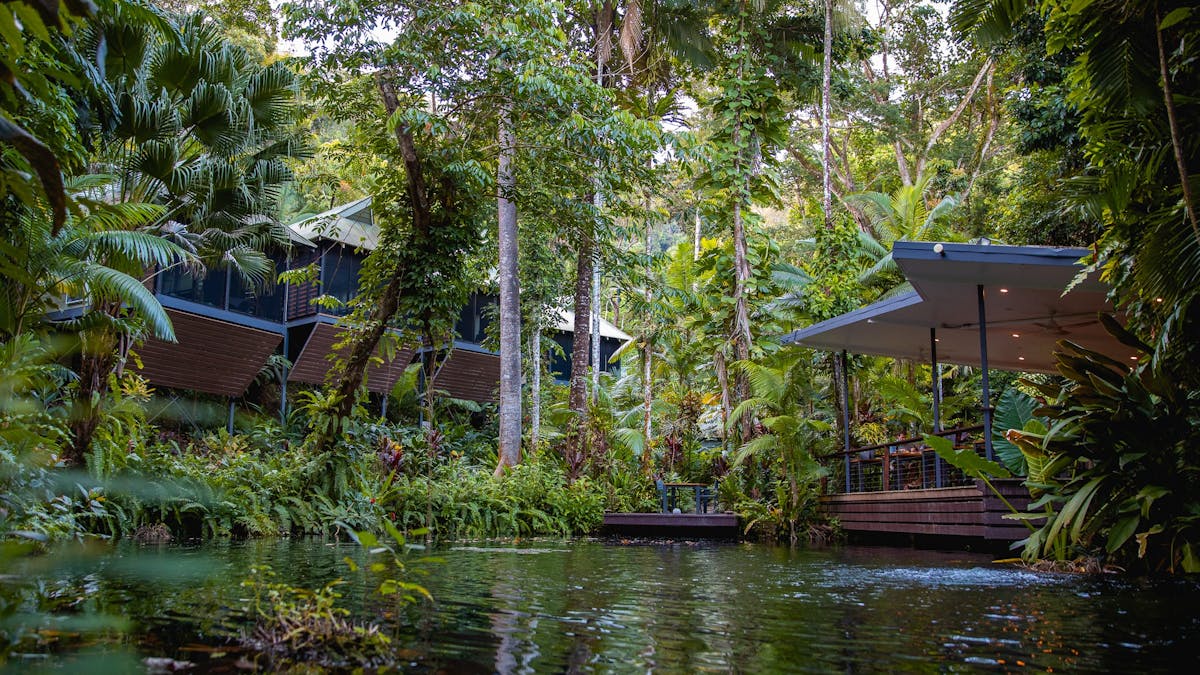 Daintree Ecolodge