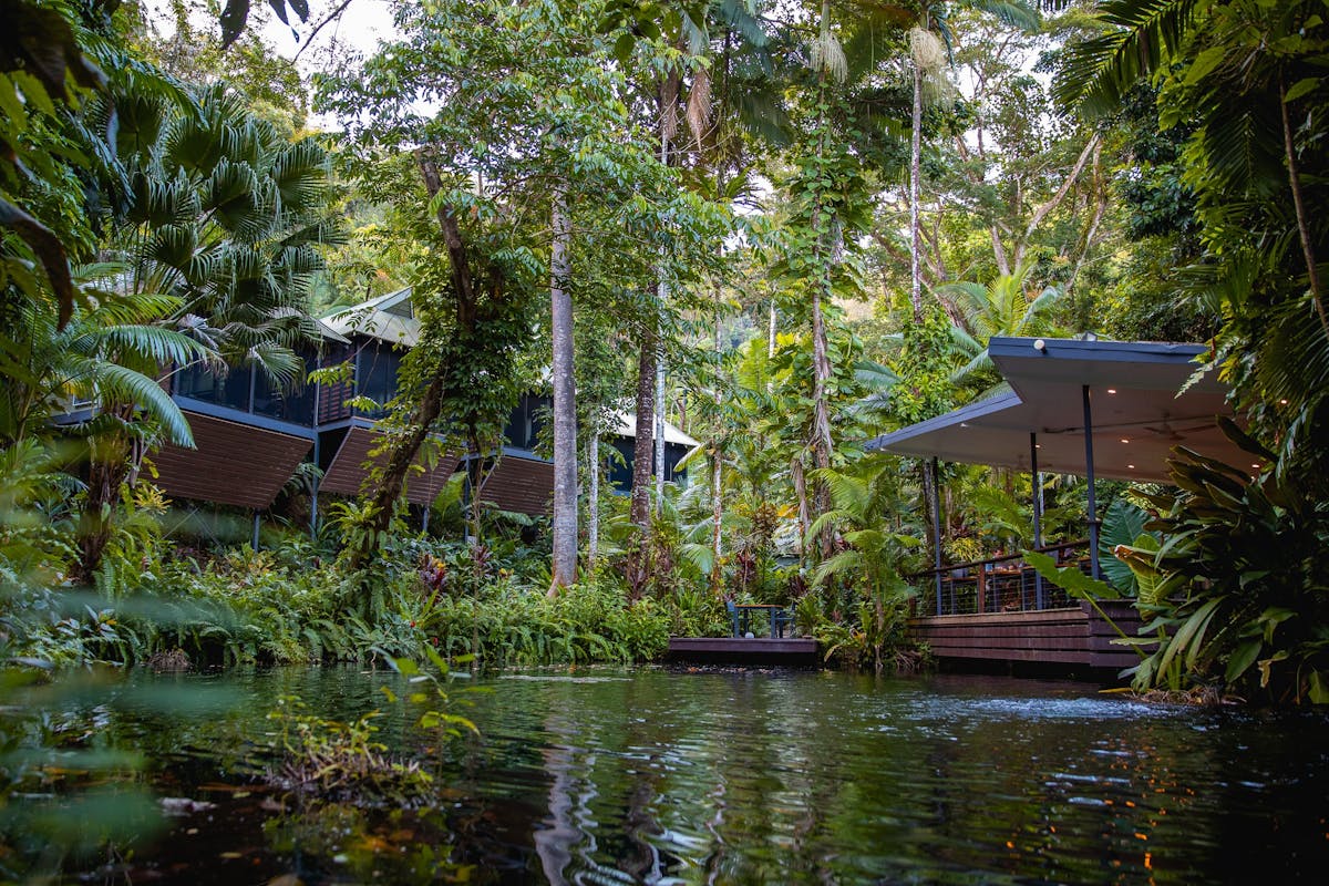 Daintree Ecolodge