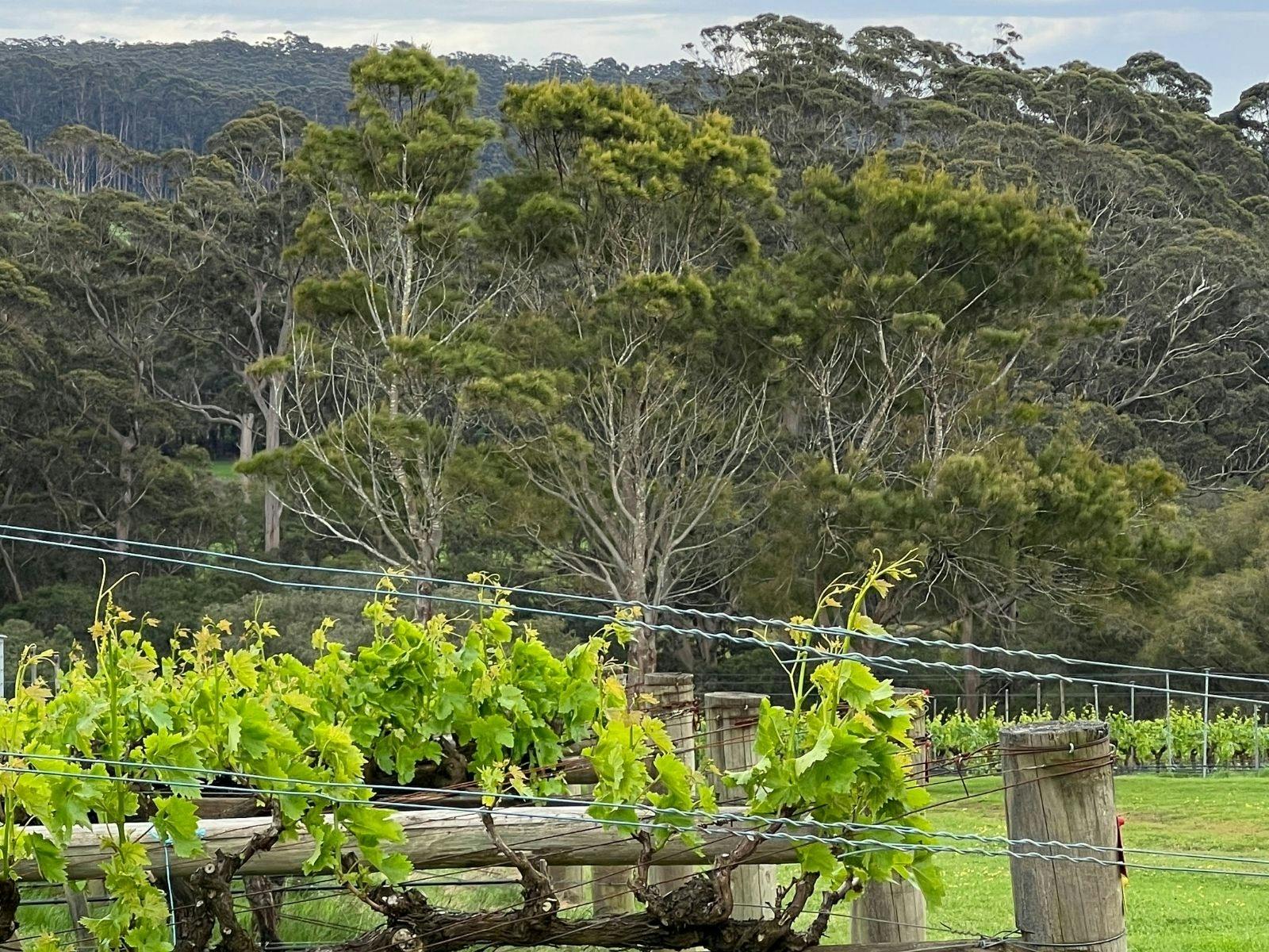 Great Southern Spring Road Trip