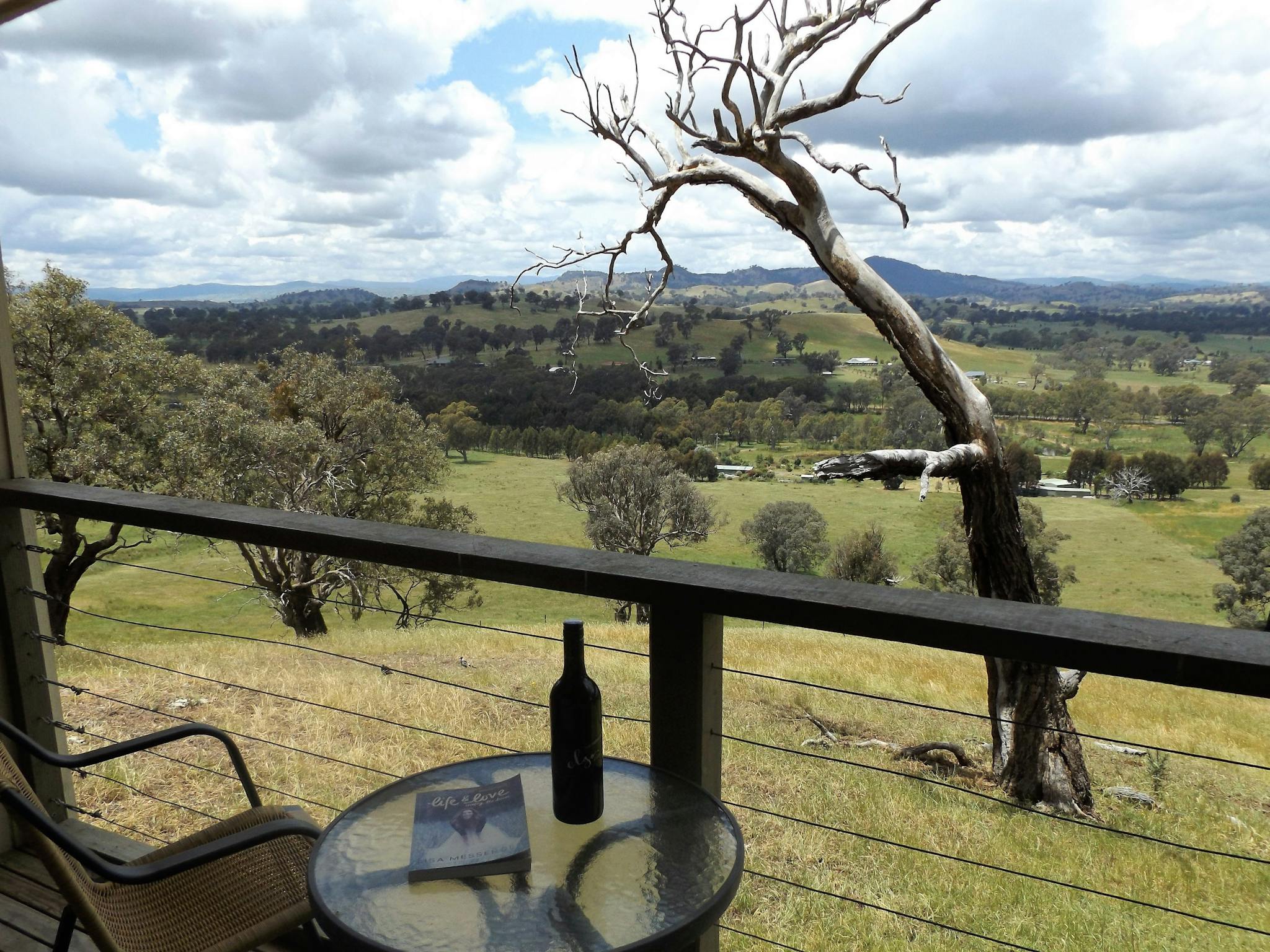 Balcony view - Grevillea