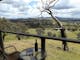 Balcony view - Grevillea