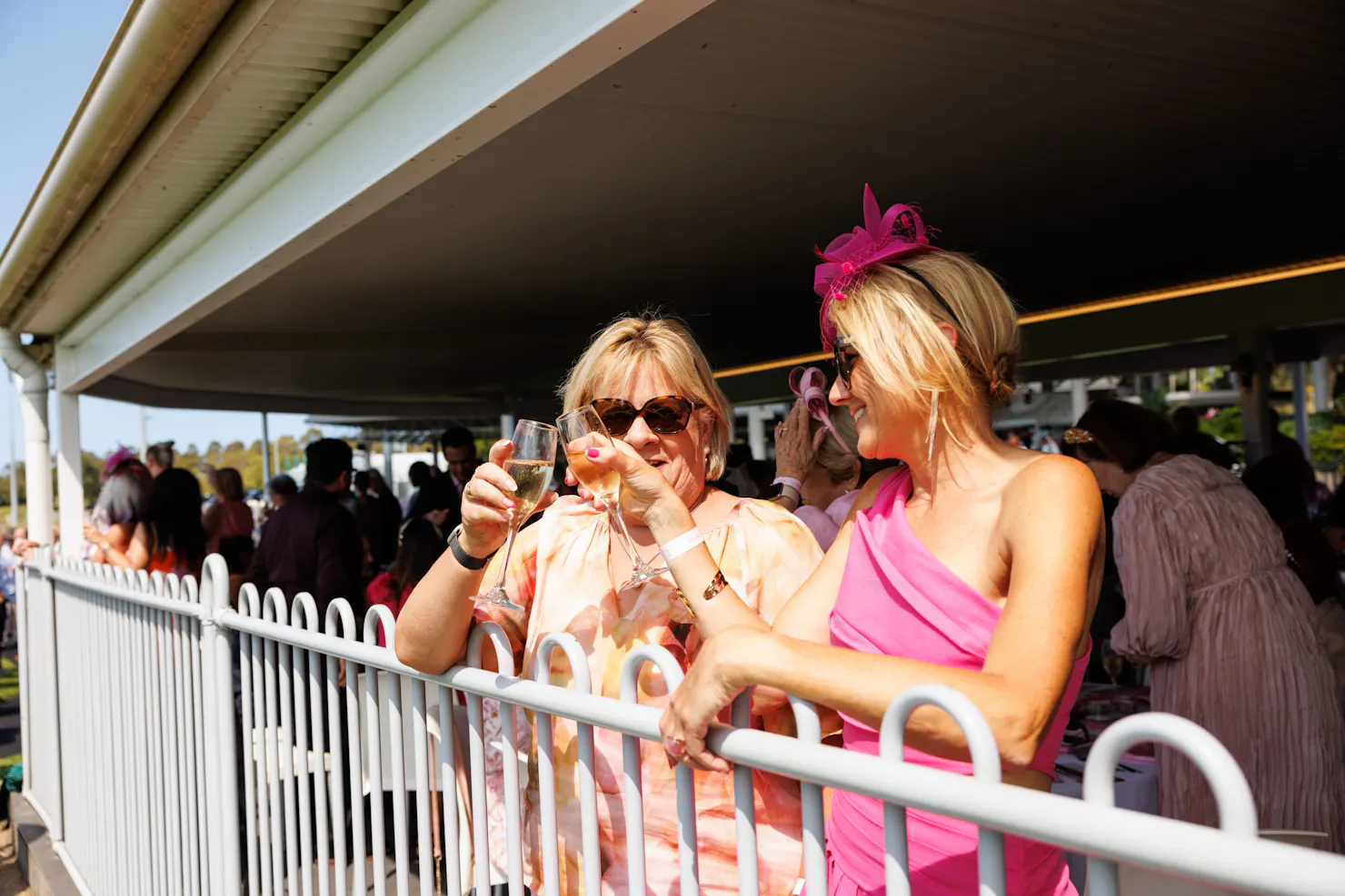 Two Ladies along the fence clinking wine glasses and smiling at each other