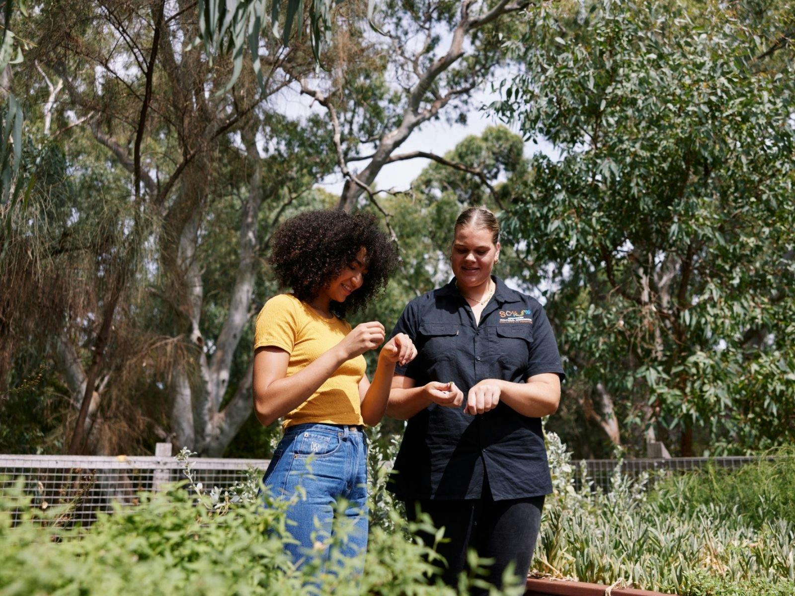 Guide and customer sharing bush tucker