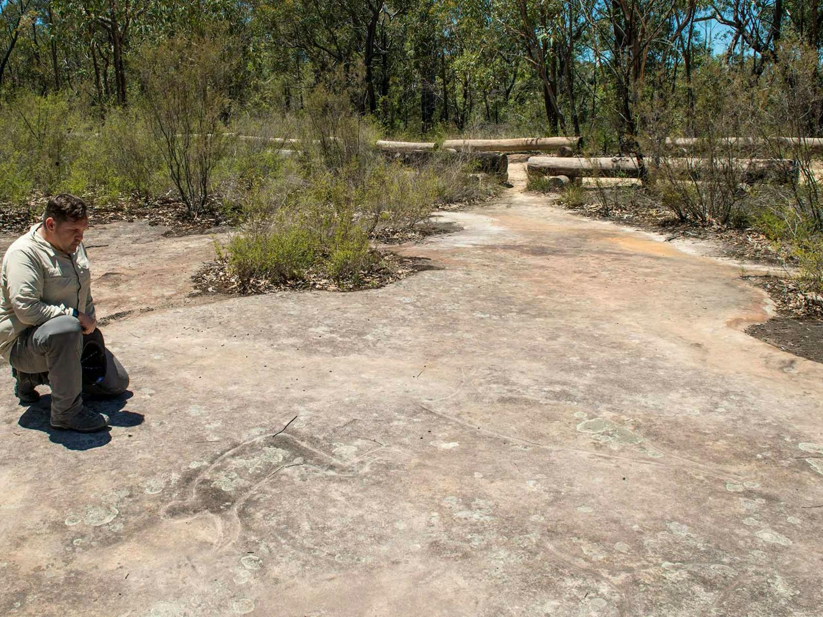 Finchley Cultural Walk, Yengo National Park. Photo: John Spencer
