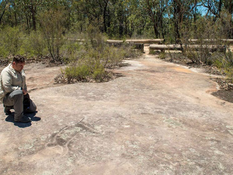 Finchley Cultural Walk, Yengo National Park. Photo: John Spencer