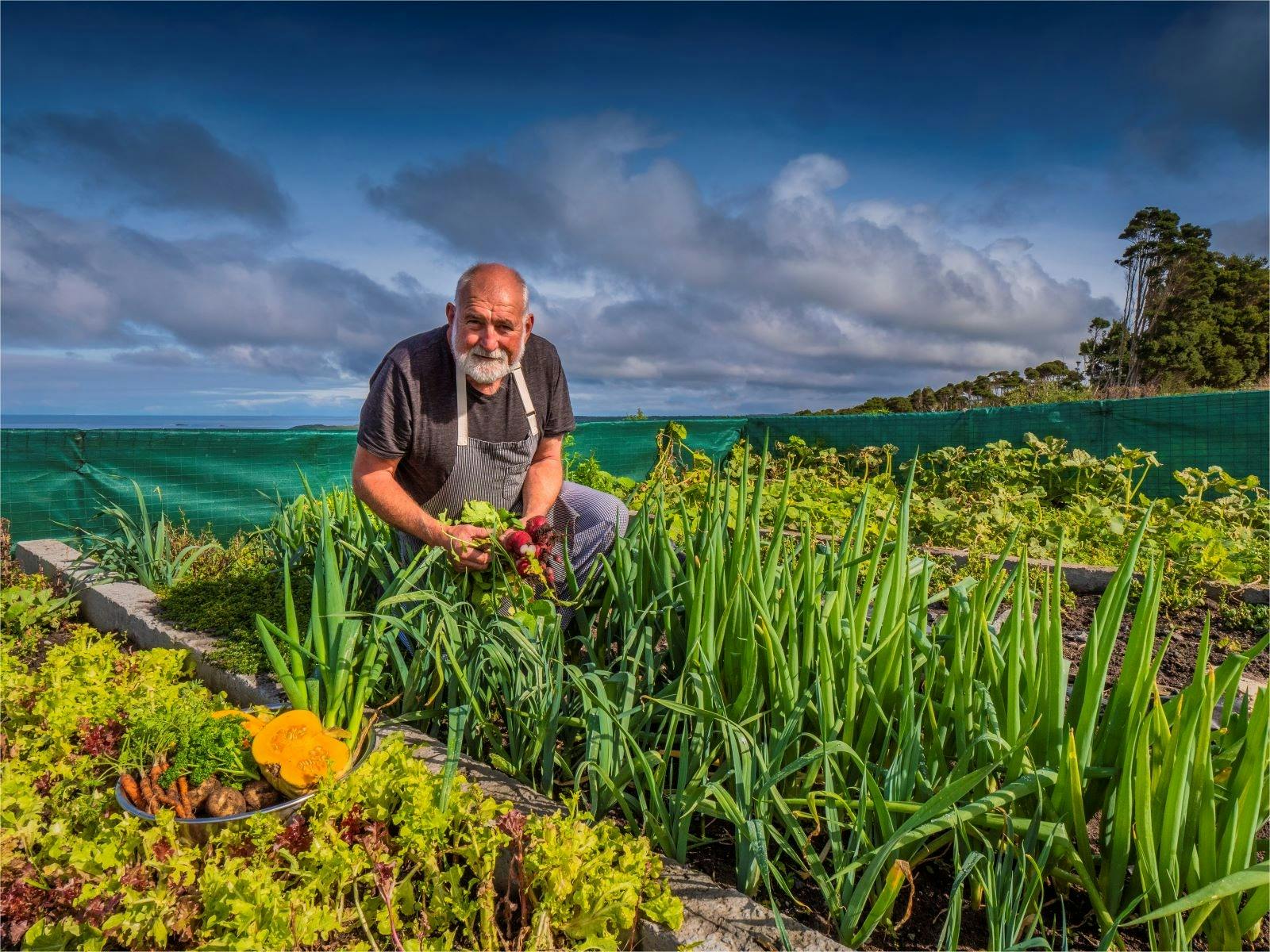 Wild Harvest Restaurant & Cooking School