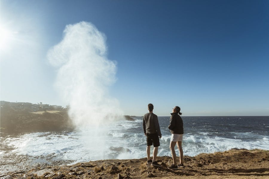 Little Blowhole