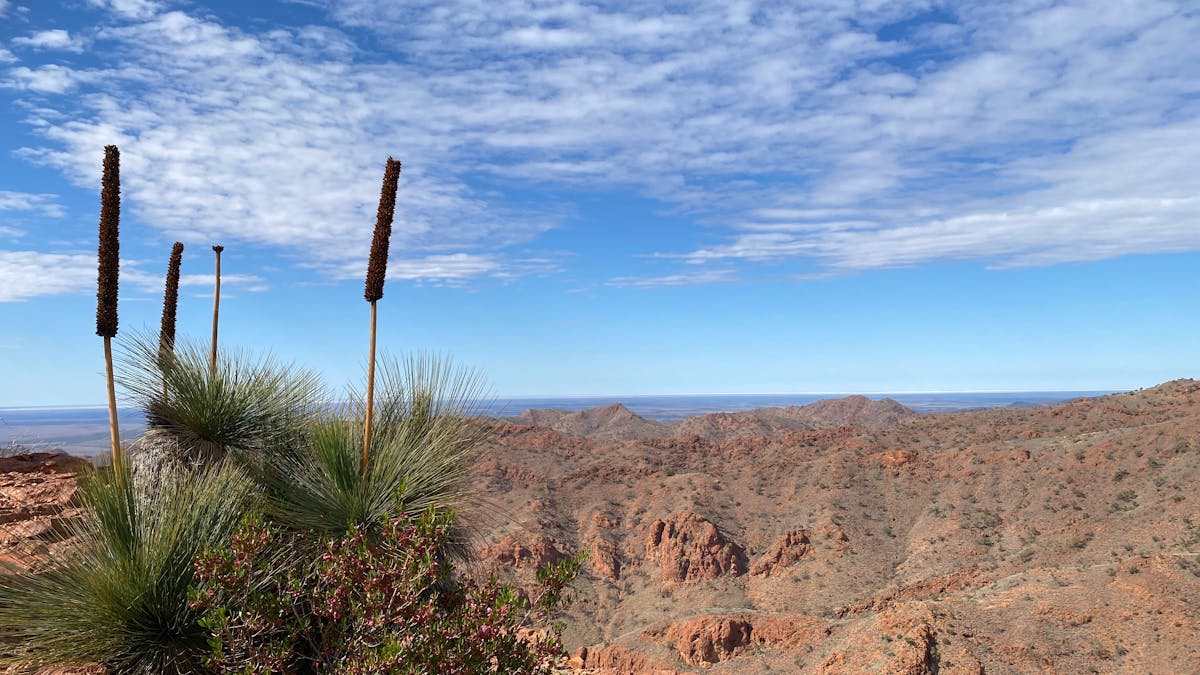Arkaroola Arkaroola