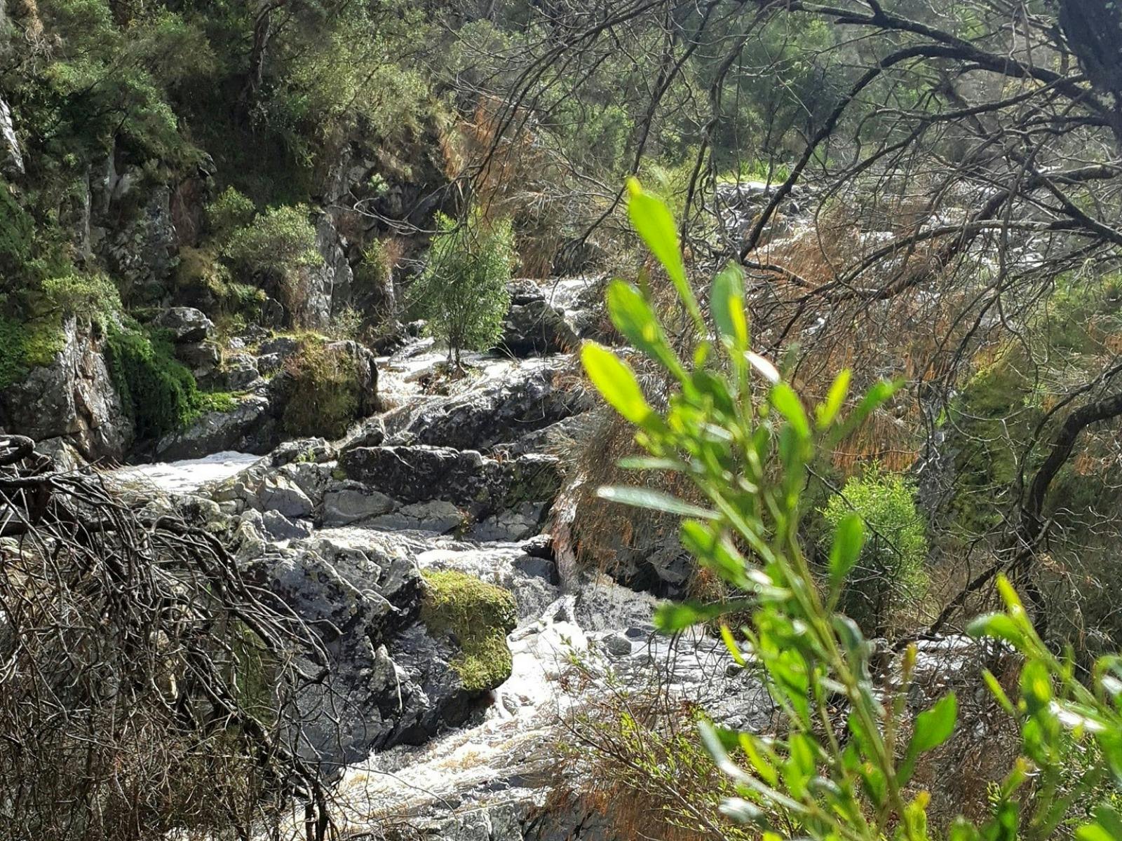 Hindmarsh Falls tranquil setting.