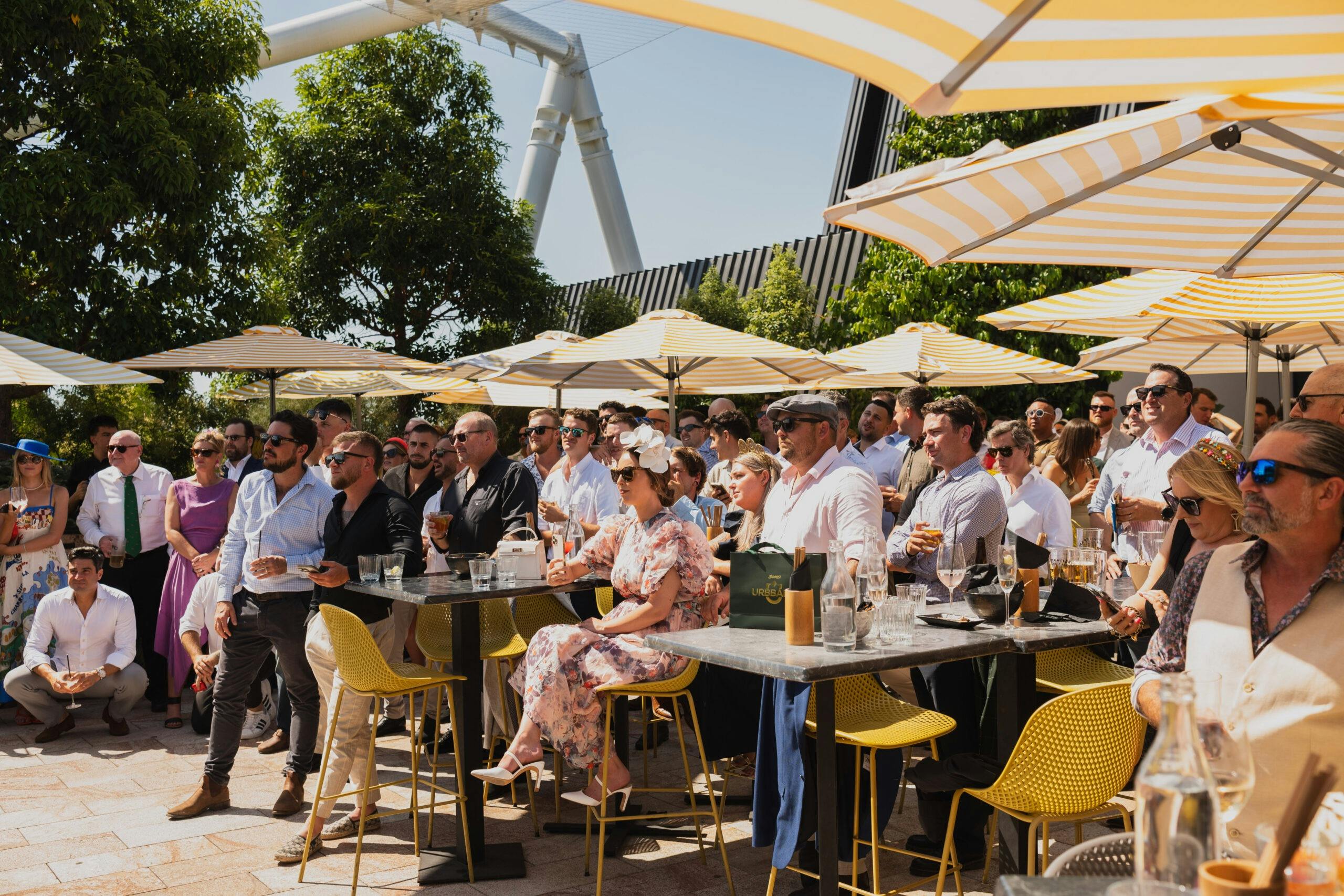 Soko Melbourne Cup
