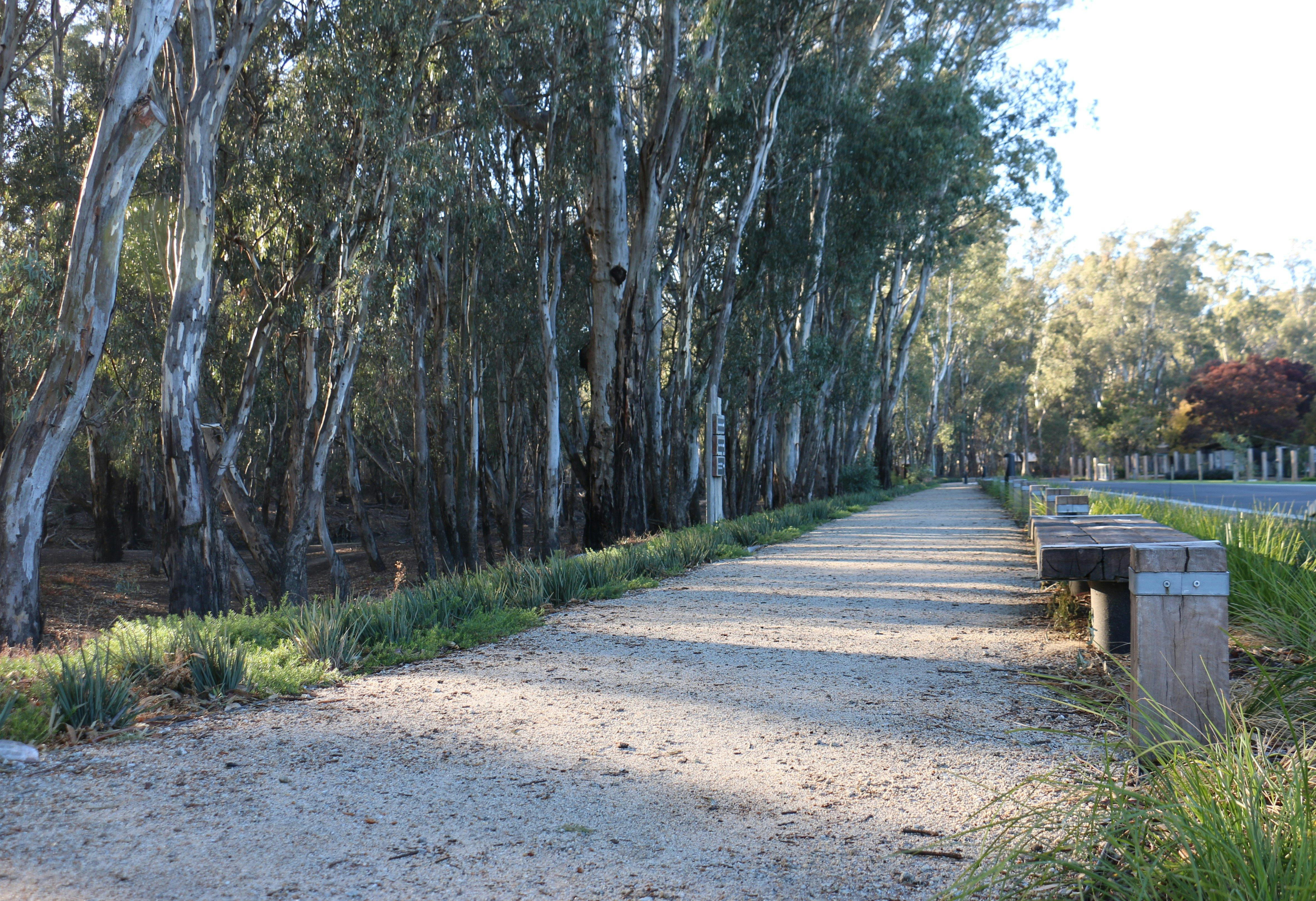 Koondrook Riverfront walking track to the footbridge and Koondrook Retreat