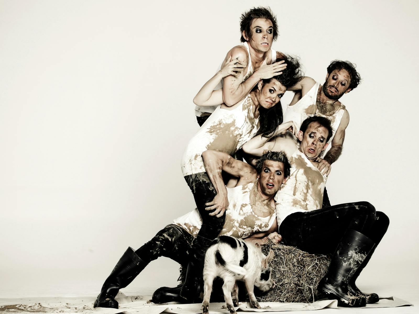 Image for The MECC and Shake & Stir Theatre Co. presents Animal Farm by George Orwell