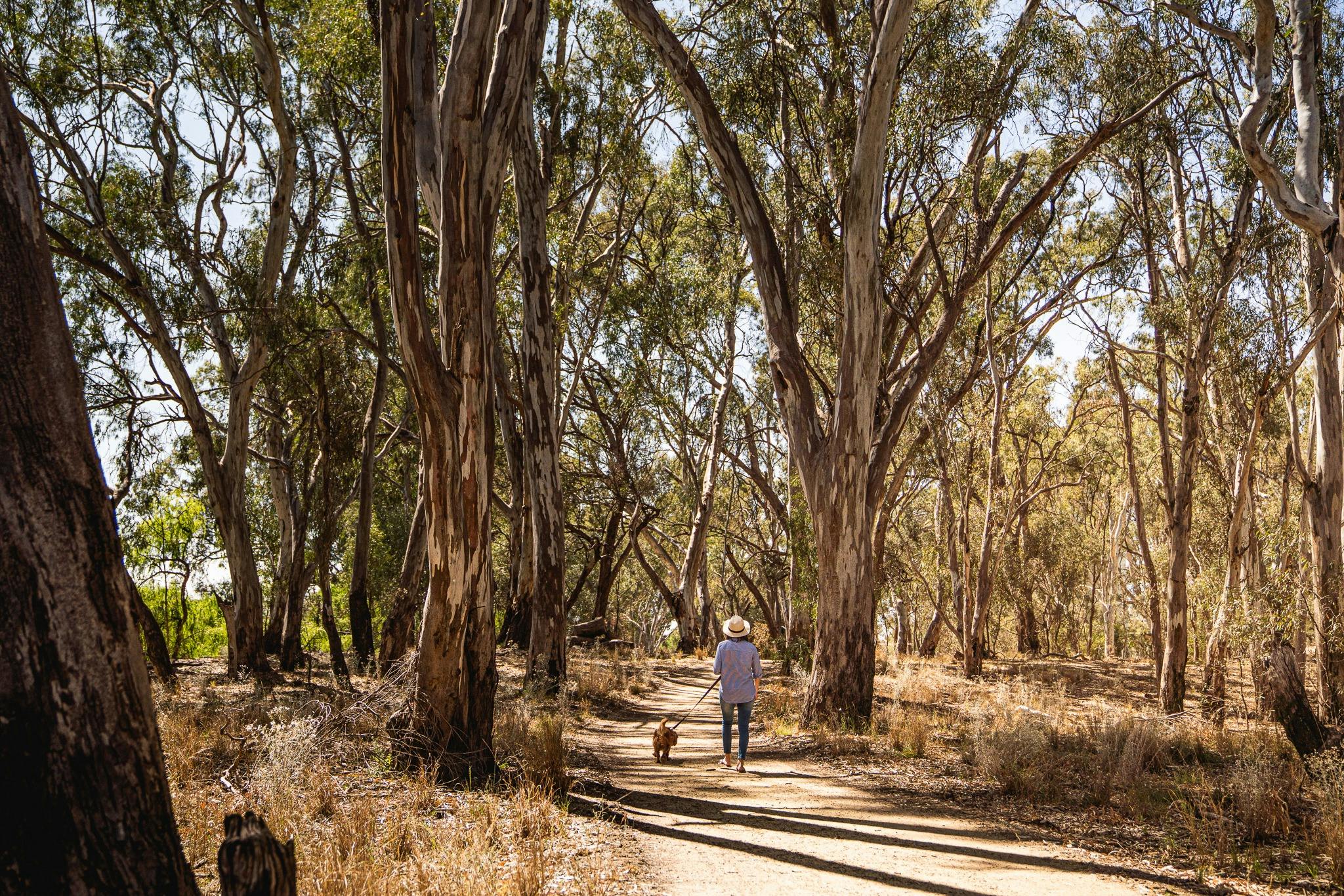 Beach to Beach Walk Island Sanctuary