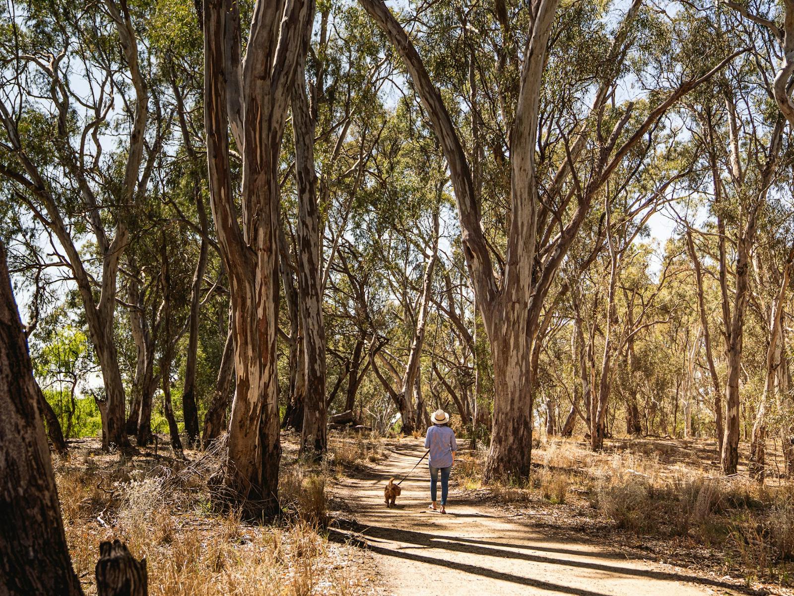 Beach to Beach Walk Island Sanctuary