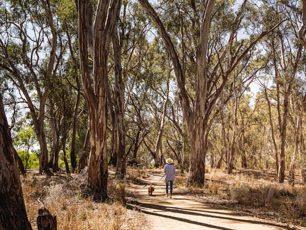 Beach to Beach Riverside Walk