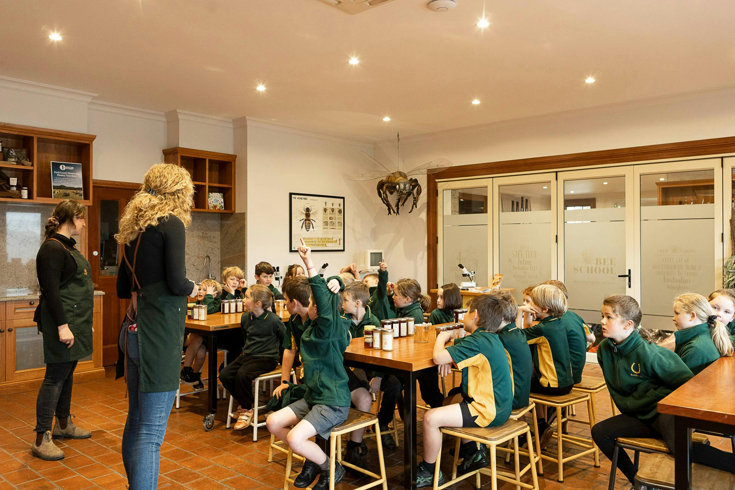 Learn about the importance of bees and pollination