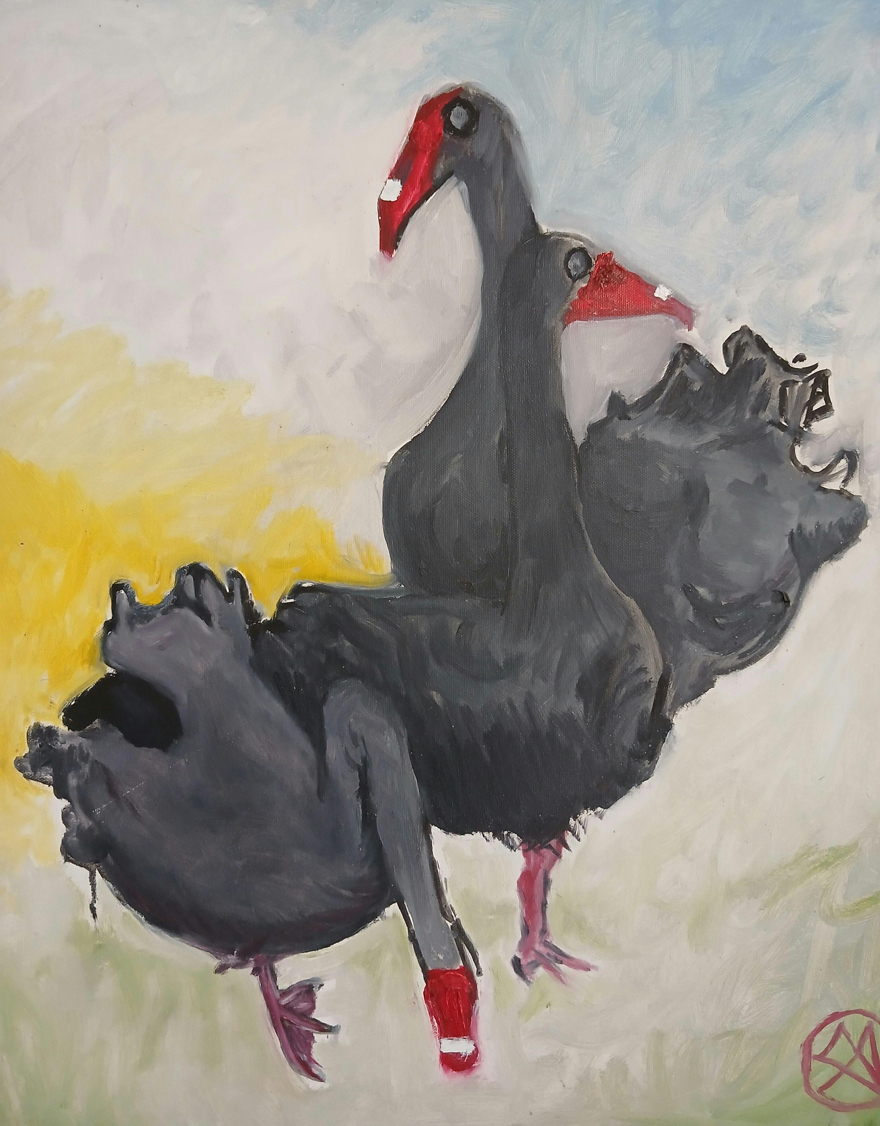 Water Hens