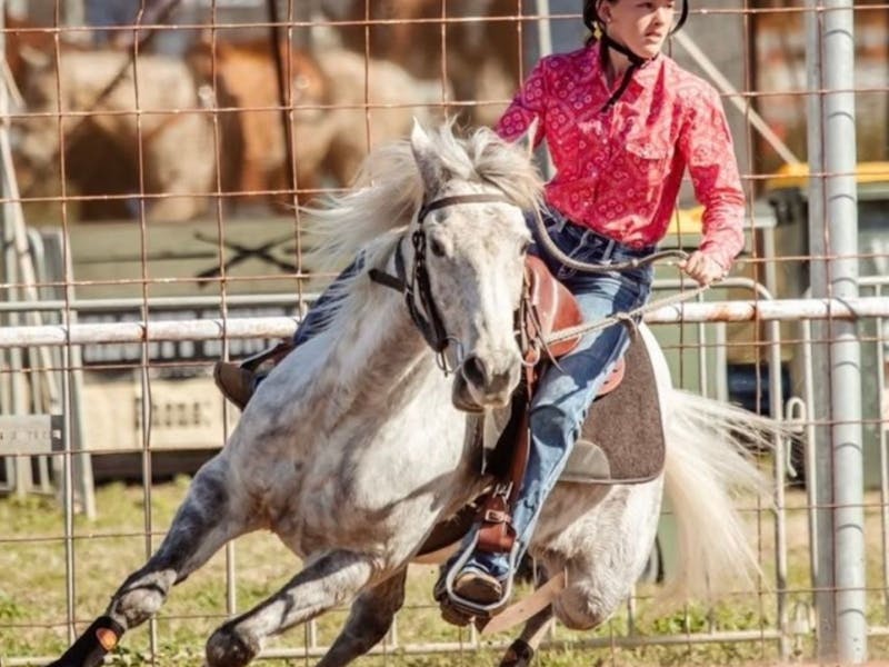 Image for Cootamundra Rodeo