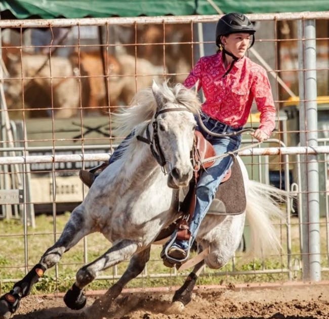 Rodeo Fun