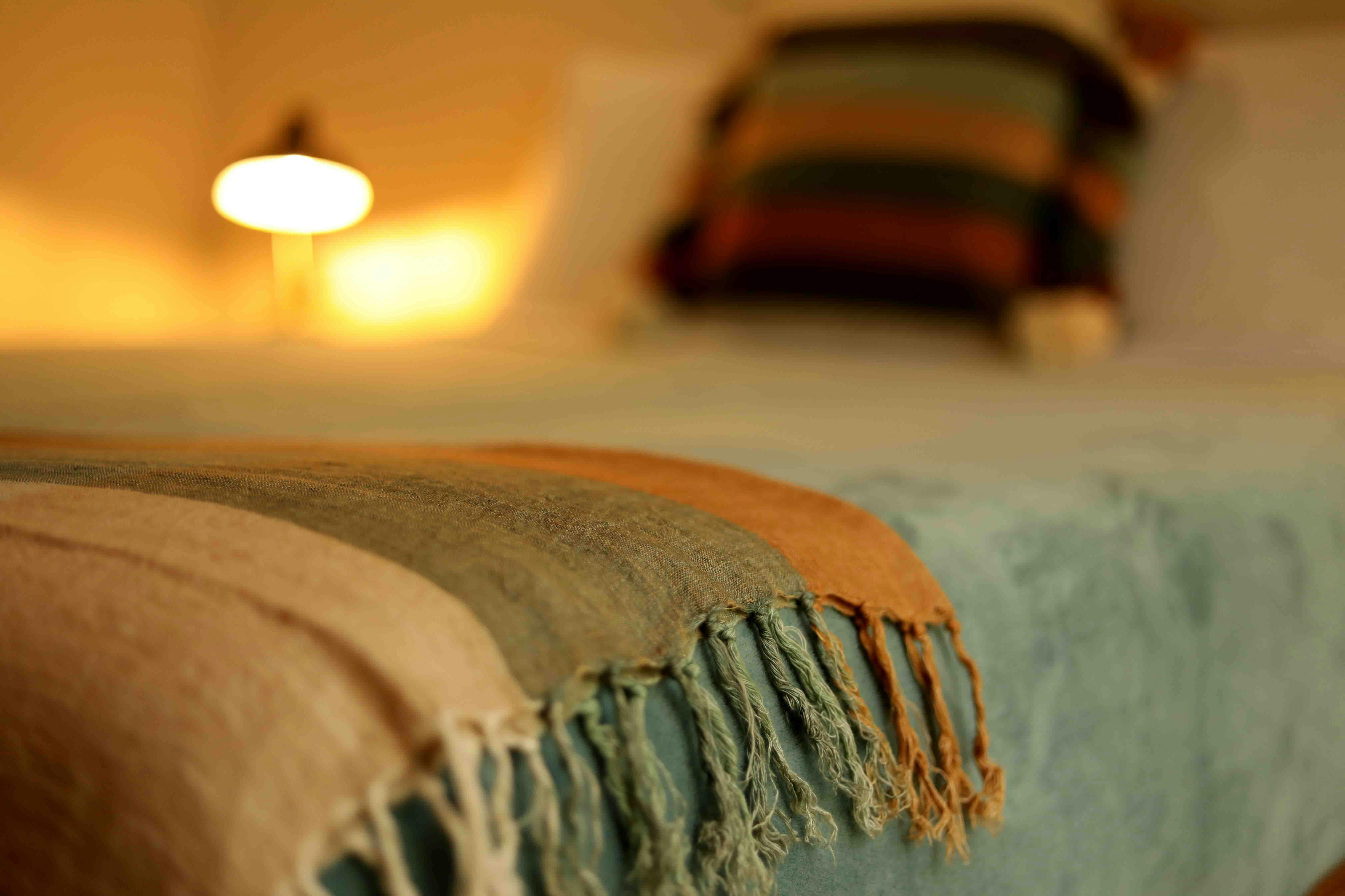 Wollumbin; Camping; Eco; Cottage; Cabin; Rainforest; Tweed Valley; Northern Rivers; Wildlife; World