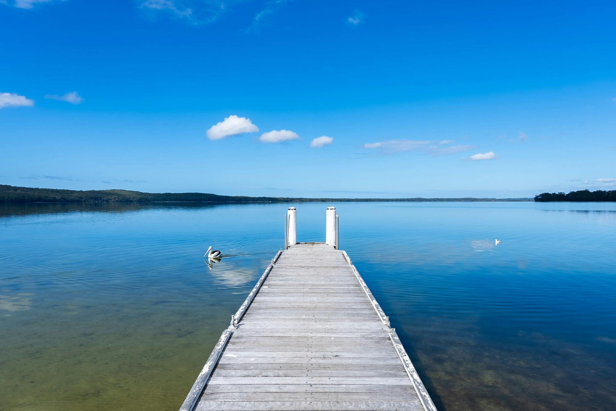 페페 사진작가 러셀 퀸