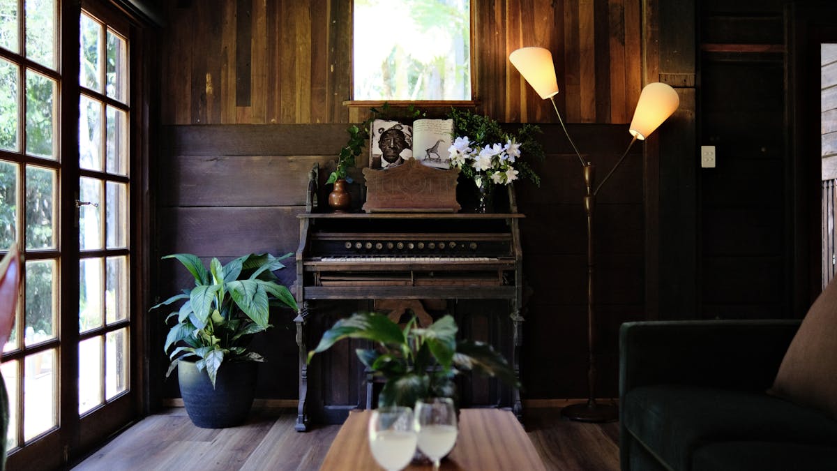 Lounge room featuring gothic style window, vintage organ and green plants