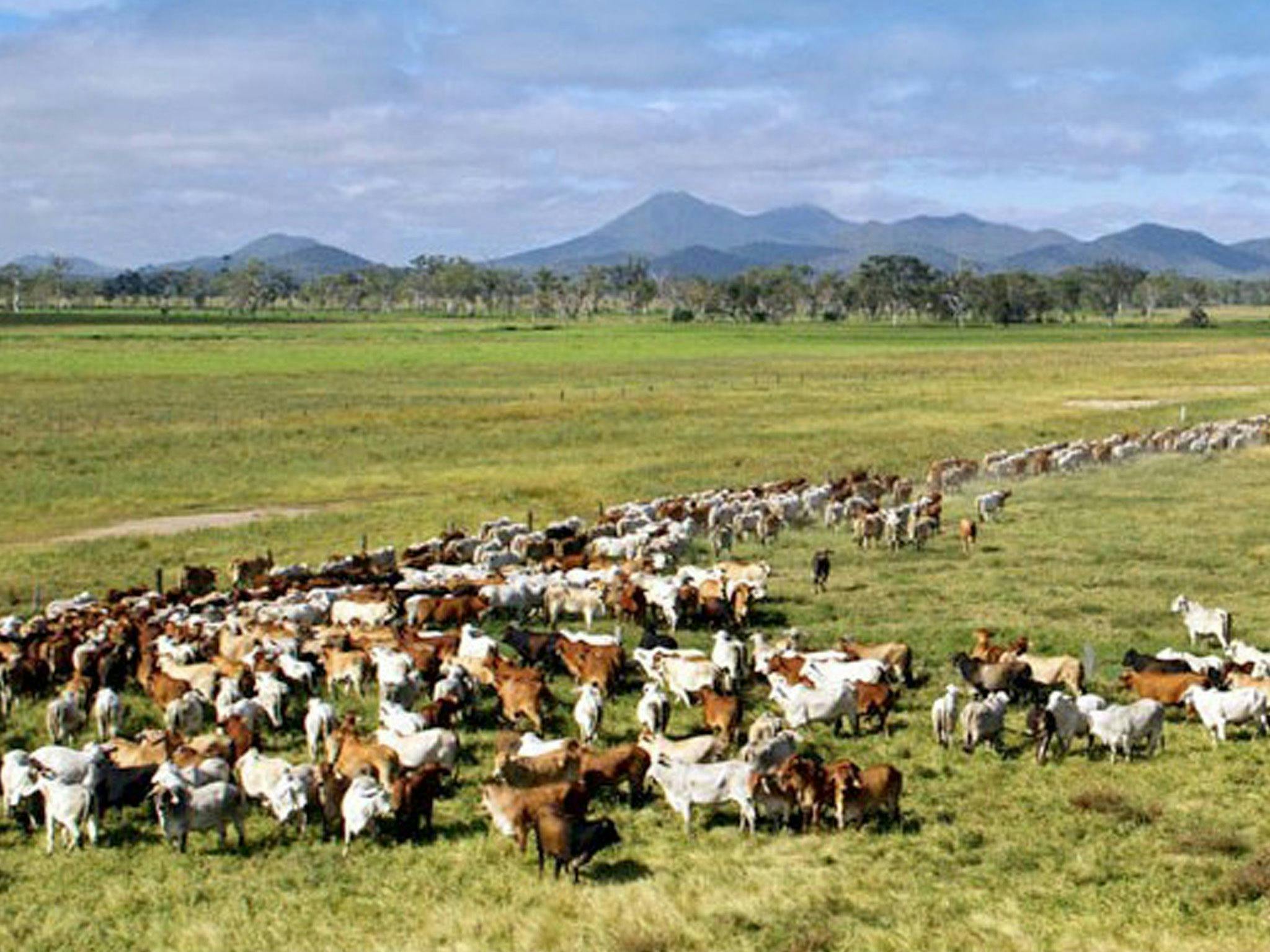 Capricorn Coast Capricorn Coast