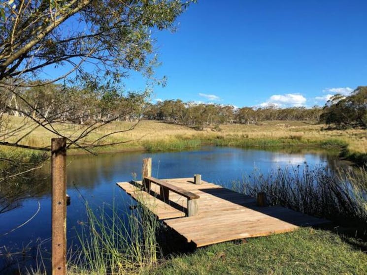 Wide timber jetty & blue water. Reeds, grass & tree in foreground. Blue sky & farmland beyond.