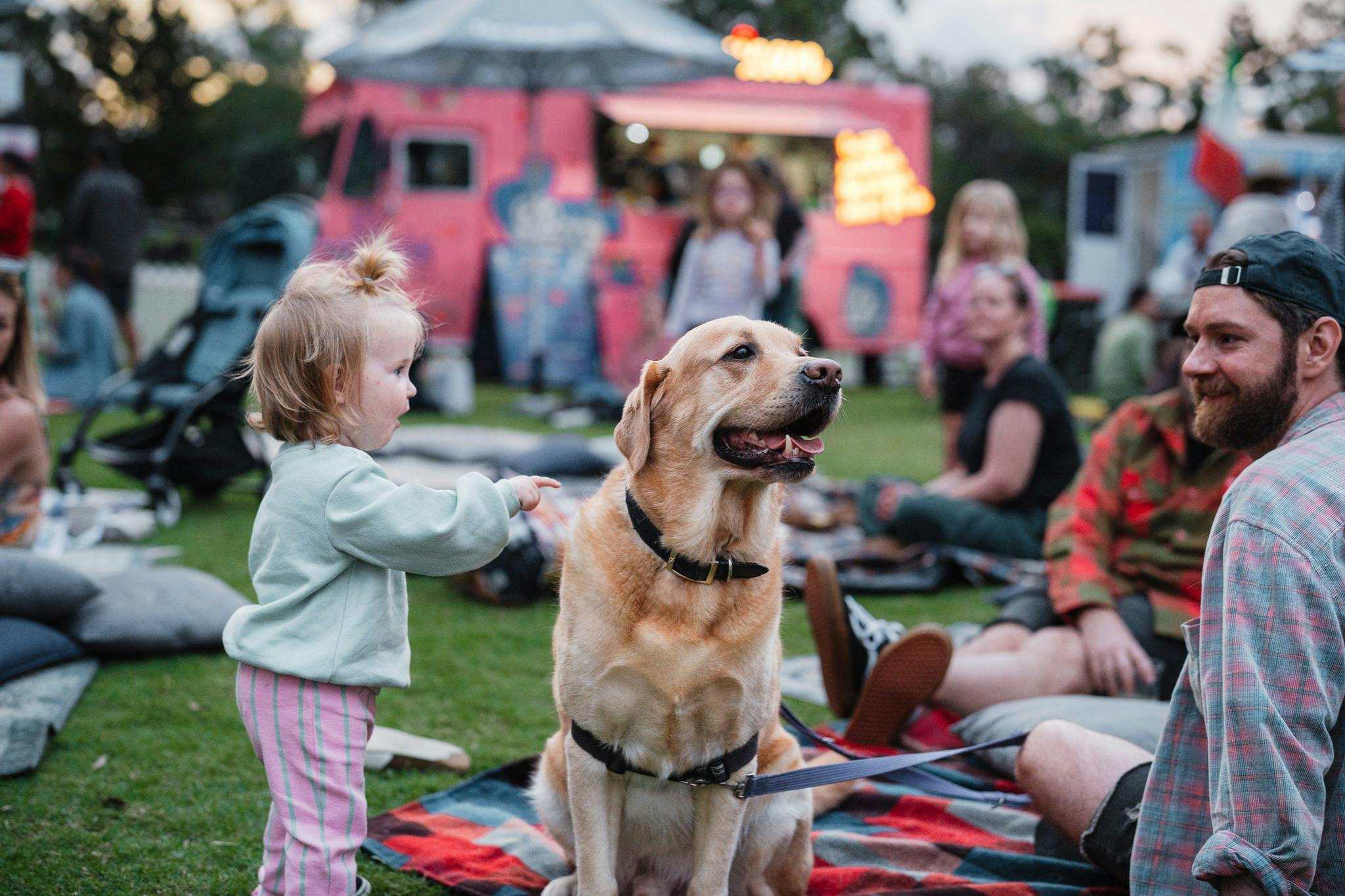 Groovin' in the Green, Family event, kids activity, food trucks, community event, licenced bar,music