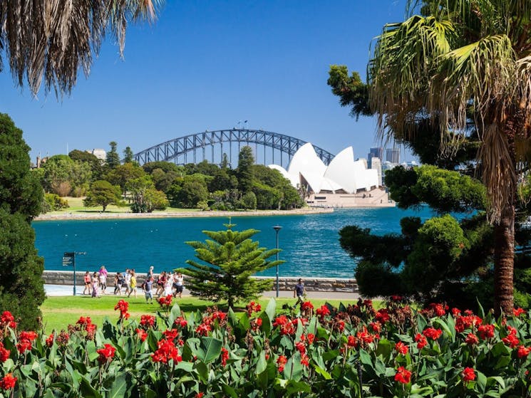 Sydney Private Day Tours, Sydney Botanic Gardens, Best place to view Opera House and Harbour Bridge