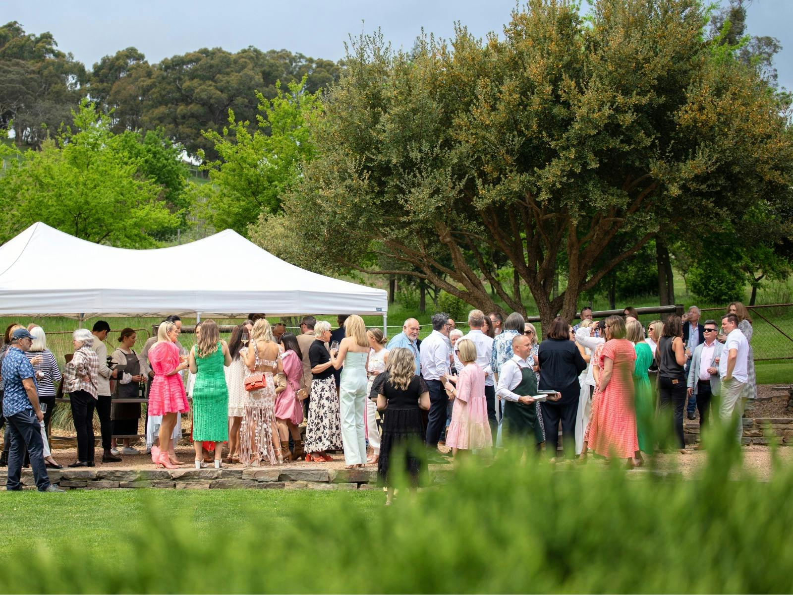 outdoor event with standing guests