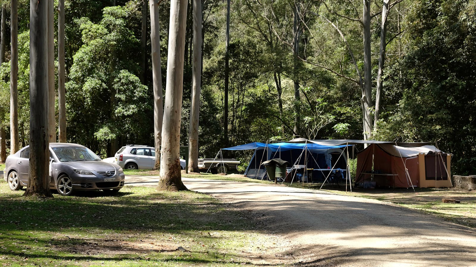 Telegherry River, Chichester State Forest