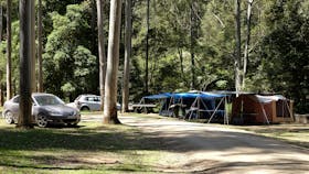 Telegherry River, Chichester State Forest