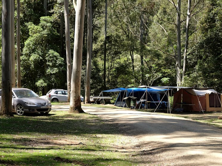 Camping in Telegherry River area of Chichester State forest